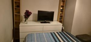 TV a/nebo společenská místnost v ubytování Whole Private Flat - Central Dublin