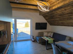 TV a/nebo společenská místnost v ubytování Horský apartmán Stříbrnice