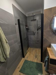 Koupelna v ubytování Horský apartmán Stříbrnice + 31 fotografií