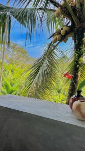 un jarrón sentado en una mesa junto a una palmera en Mango House, en Galle