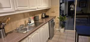 Kuchyň nebo kuchyňský kout v ubytování Whole Private Flat - Central Dublin