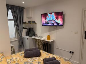 sala de estar con TV colgada en la pared en Luxury Studio in Victoria, 7 minutes walk to Victoria Station, Room 2, en Londres