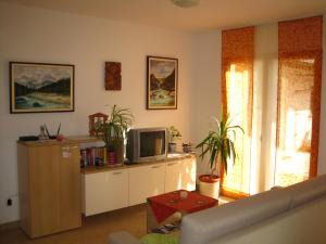 Gallery image of Apartment House Cviter in Bovec
