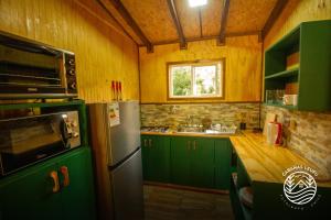 a kitchen with green cabinets and a stainless steel refrigerator at Cabañas Leufu in Futaleufu +27 photos