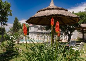 een grote paraplu met rode bloemen voor een zwembad bij Nuevo Hotel Carmel in Villa Parque Siquiman