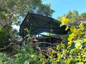 Zahrada ubytování Jungle Cabin - Bundala