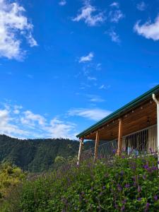 Una casa en una colina con flores moradas en el frente. en Bosque Tapantí, cerca del PN Tapantí en Orosí, Cartago, Costa Rica, en Purisil