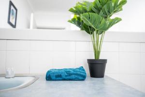 Billede fra billedgalleriet på 24 Surfers Ave i Ocean Grove + 34 billeder