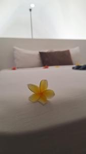 Fotografie z fotogalerie ubytování Gili Hills v destinaci Gili Trawangan