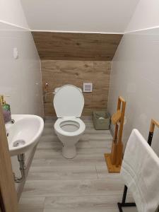 a bathroom with a toilet and a sink at Rekreační domky Nové Mlýny 17 - Pálava - in Milovice