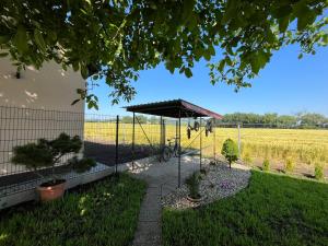 a garden with a bike under a canopy in a field at Rekreační domky Nové Mlýny 17 - Pálava - in Milovice