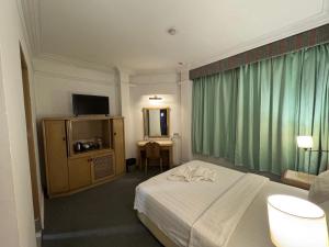 TV a/nebo společenská místnost v ubytování Hotel Deleeton