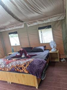 a bedroom with a bed in a tent at Soma Caves Tents in Jagatsukh