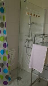 アイノアにあるGite La Rhuneのバスルーム(ガラスドア付きのシャワー付)