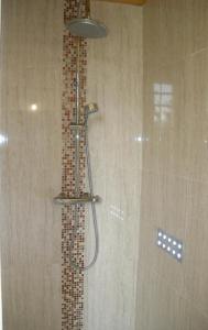 a shower with a shower head in a bathroom at Mas la Vitalis Chambres D'Hôtes in LʼIsle-sur-la-Sorgue