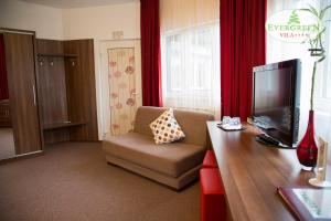 a living room with a couch and a television on a table at Vila Evergreen in Predeal