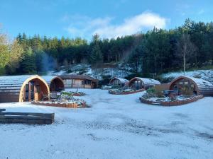 a group of domed buildings in the snow at Gortin Glen Glamping in Omagh