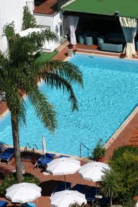 uma grande piscina com guarda-sóis e uma palmeira em Hotel Lord Byron em Ischia