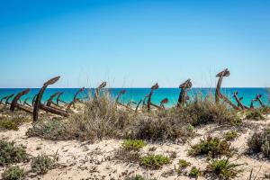 a fence on the beach with the ocean in the background at Pedras D'el Rei in Tavira