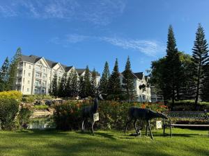 two animals standing in the grass near a building at Khaoyai Tiew Khao Family Room 2to4 People B02 in Pak Chong