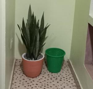 two potted plants sitting on a floor in a corner at Mtwapa june apartment 2 in Mtwapa