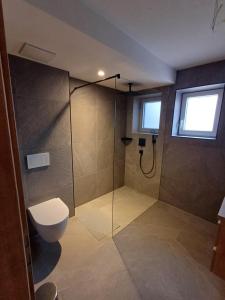 Un baño con ducha, inodoro y lavabo. en Apartment Alpenland, en Scheffau am Wilden Kaiser
