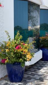 Zahrada ubytování Moon night resort For Family and groups BBQ Pool and greek style