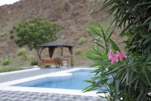 Бассейн в Dibbah Fujairah Private farm with pool или поблизости