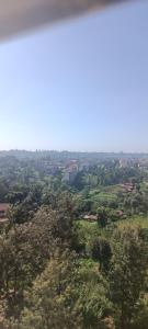 Příroda nedaleko apartmánu + 2 fotografie