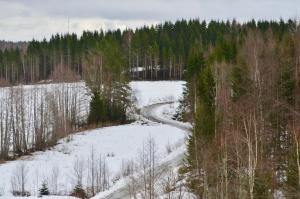 Villa Dalen, Natuurlijk Zweeds! v zimě