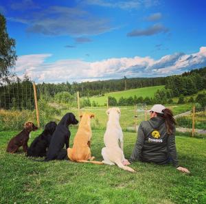 Hosté ubytování Villa Dalen, Natuurlijk Zweeds!
