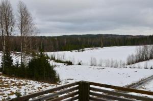Villa Dalen, Natuurlijk Zweeds! v zimě