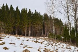 Villa Dalen, Natuurlijk Zweeds! v zimě