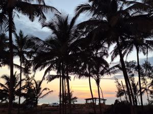 a group of palm trees in front of a sunset at Bele Beach Front Inn in Gokarna
