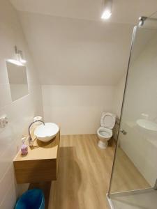 a bathroom with a toilet and a sink and a shower at Pensjonat Sokolec in Sokolec