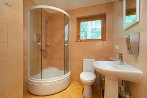 a bathroom with a shower and a toilet and a sink at Villa Green in Molėtai +70 photos