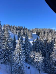 Apartman Lana v zimě