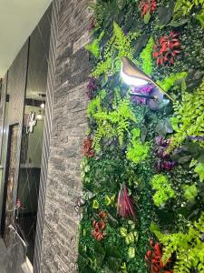 Aparan Hotel外面的花园