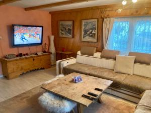 a living room with a couch and a tv at Ski Chalet Rinerhorn in Glaris