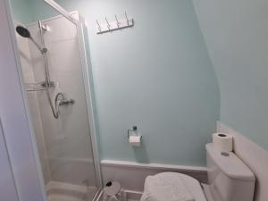 ウェイマスにあるHorizon Sea View Suiteのシャワーとトイレ付きの白いバスルーム