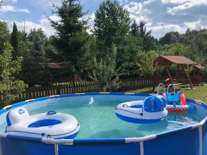a small pool with two inflatable boats and a raft at Gergely Attila Vendégház in Izvoare