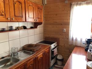 a kitchen with a sink and a stove top oven at Gergely Attila Vendégház in Izvoare