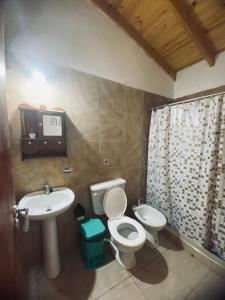 ein Badezimmer mit Toilette und Waschbecken in der Unterkunft Casitas del Champaqui in Villa Yacanto