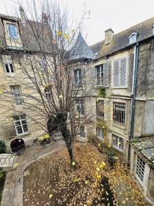 un arbre dans la cour d'un bâtiment ancien dans l'établissement Le clos du Tilleul - charme en hyper centre, à Caen 32 autres photos