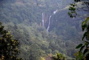 Paesaggio naturale nelle vicinanze dell'affittacamere