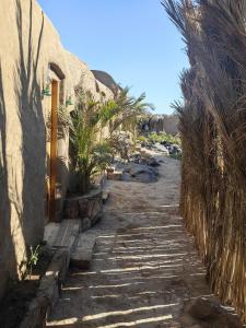 阿斯旺Nala Narty Boutique Hotel & Farm的相册照片