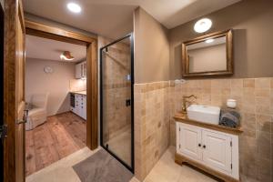 a bathroom with a shower and a sink and a mirror at Studio Flat - Sleeps 3 - Parking - Wifi in Hostivice +6 photos