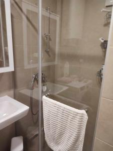 una ducha con puerta de cristal al lado de un lavabo en Room in a nice sunny apartment, en Vračar (historical)