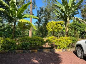 a car parked next to a garden with trees at Sinana country Home-Backpackers Stay in Kibongoto