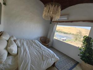 阿斯旺Nala Narty Boutique Hotel & Farm的一间带床和大窗户的卧室